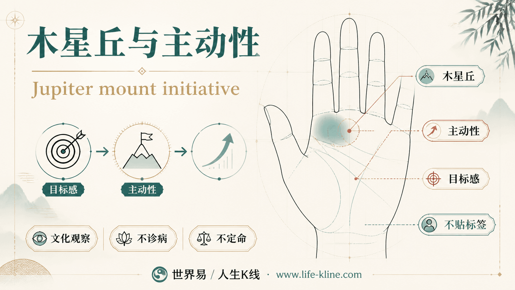 木星丘与主动性手相图解,面向北美华人的掌纹文化观察边界说明