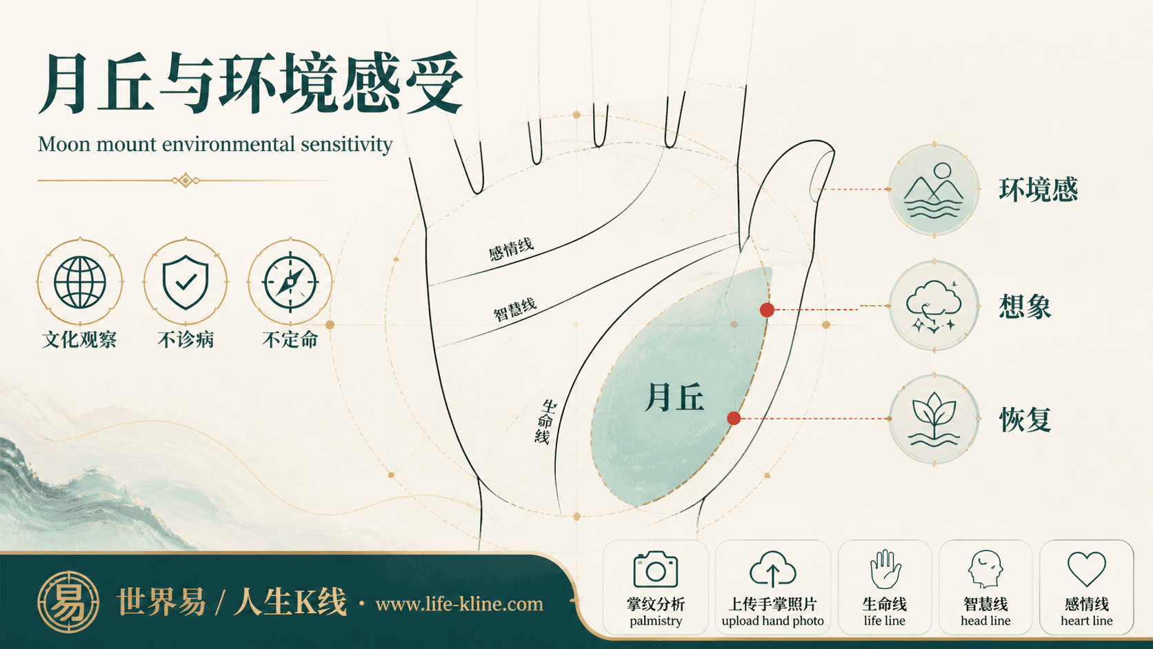月丘与环境感受手相图解,面向澳新华人的掌纹文化观察边界说明