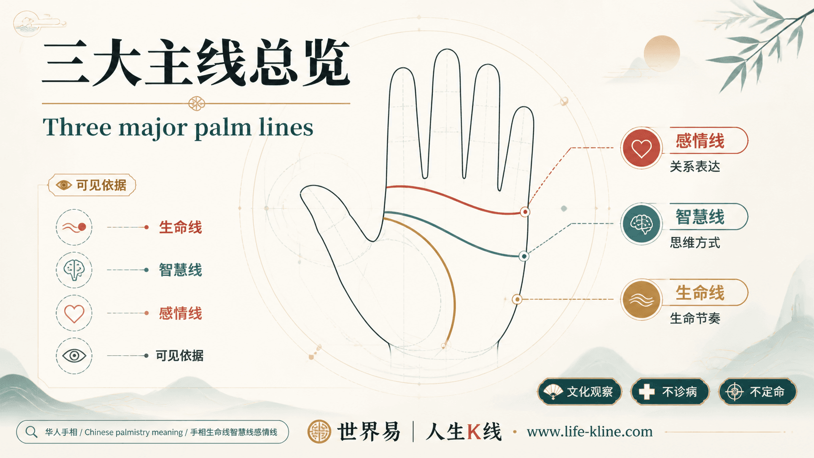 三大主线总览手相图解,面向新马华人的掌纹文化观察边界说明